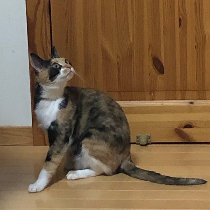 79eddd55 ae44 4aab 9923 be1a98fcde07 1560433199689