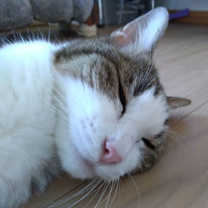 79ede586 2309 47a8 91be 45dd0e5e3e77 1529215098909