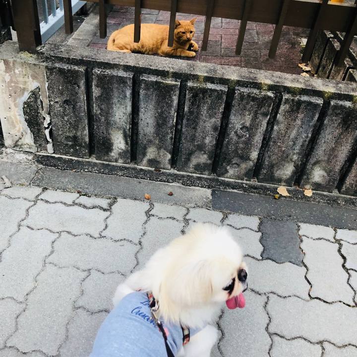 79edec47 e533 4a85 8907 31347c227210 1597276326135