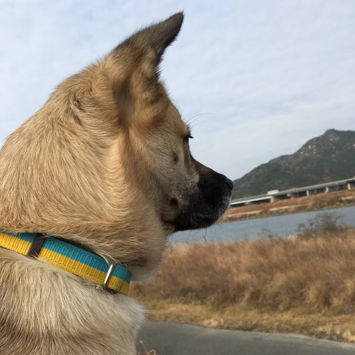 79ee0643 a976 4ec4 896a 84c9cdd7459c 1514094644140