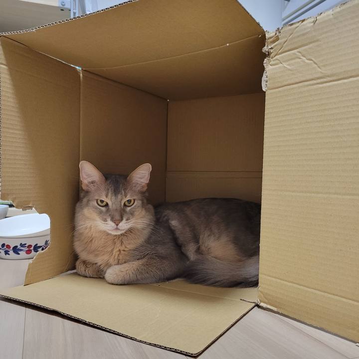 79ee06e4 c7c3 49d5 be6d e5b57f1baeb7 1684740655117