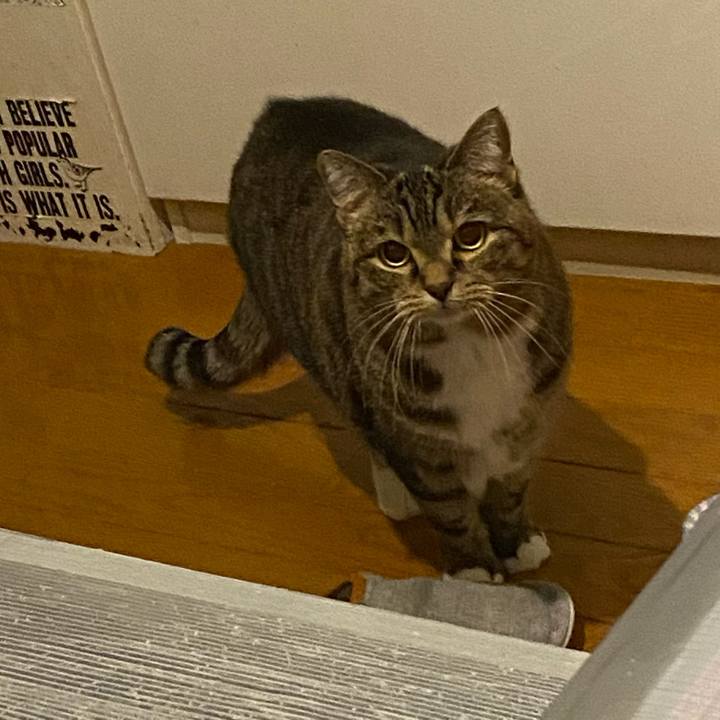 79ee1ac5 b3e4 4096 a408 615db994d784 1672145839937