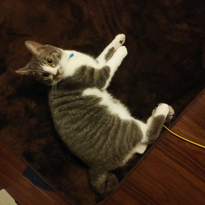 79ee62bd 00eb 4496 80ca 3031cba5b034 1580048551045