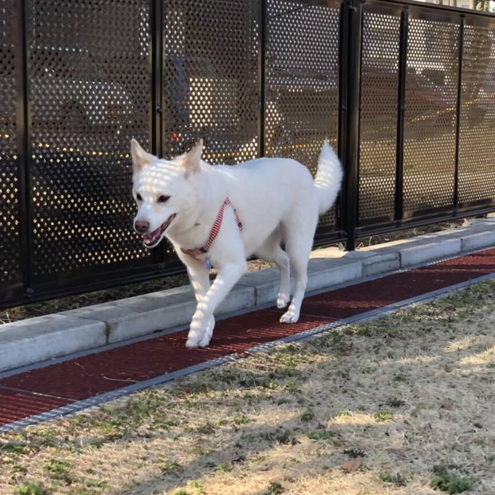 79ee7d7f 0995 48ea 95ee ff0982d4db2d 1519976377323