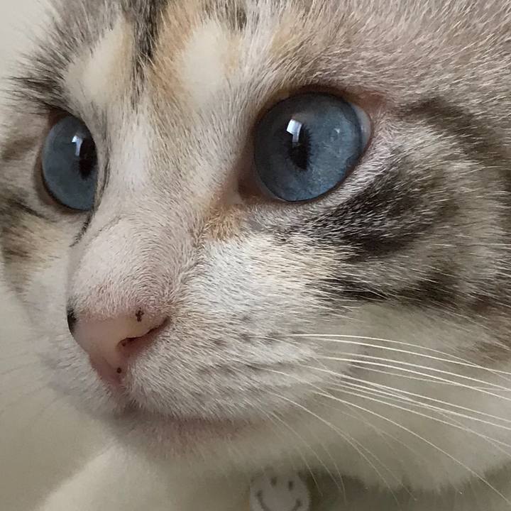 79ee8052 1906 43d7 89d2 94774ceb3029 1531574035569