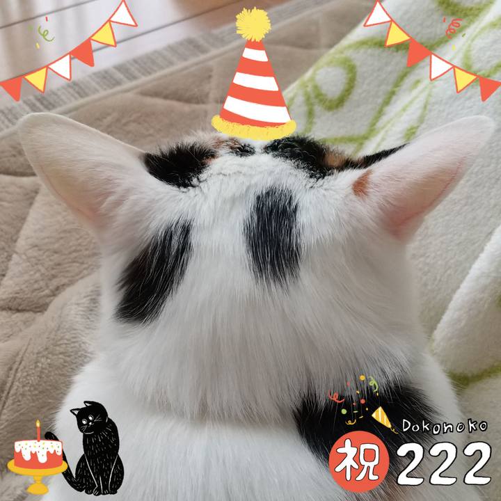 79eeab69 55ff 4b37 8f44 312657779e0f 1645490897991