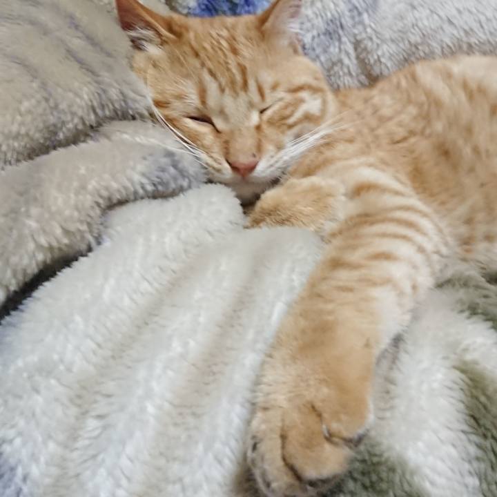 79eeae47 1230 481c 8798 f7e06991b125 1650545223024