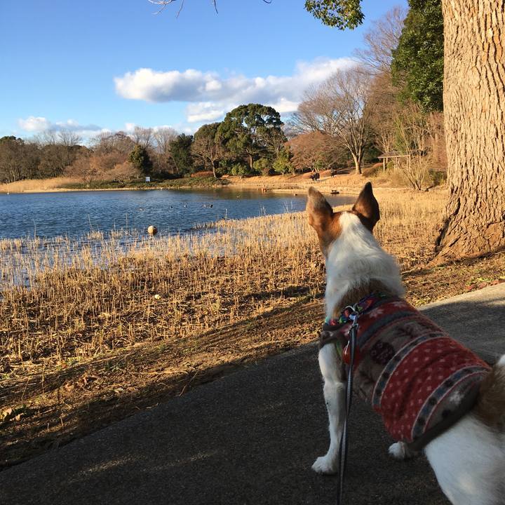 79eec32d d981 4aa8 8d35 36103b268945 1578281387964