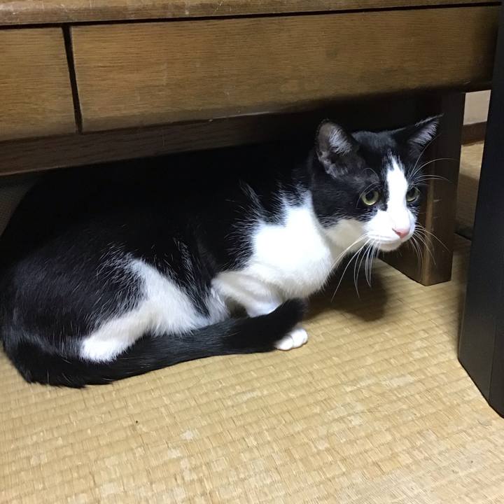 79eece85 b8ef 42e6 b6c2 b507d458acb5 1763019846759