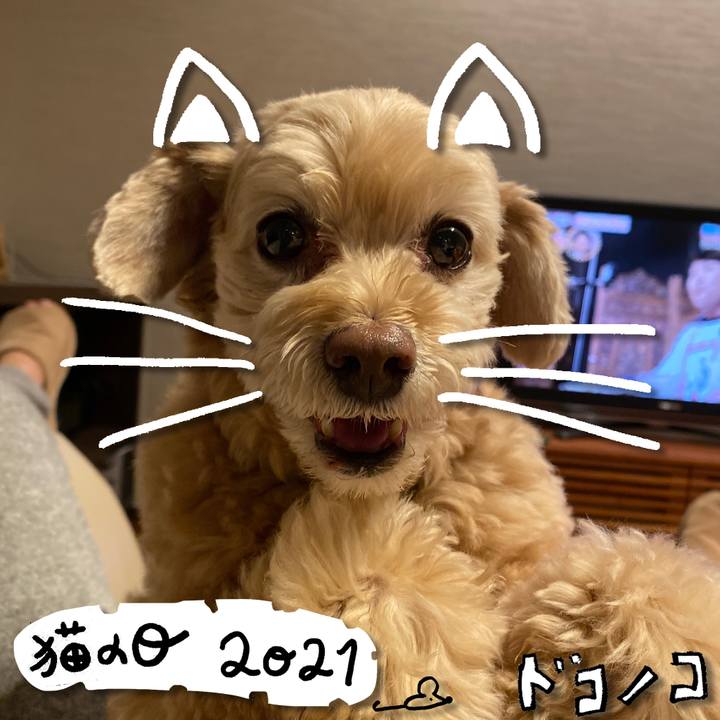 79eef579 ff91 4dc9 bdc2 6f7889f29cd0 1613989026581