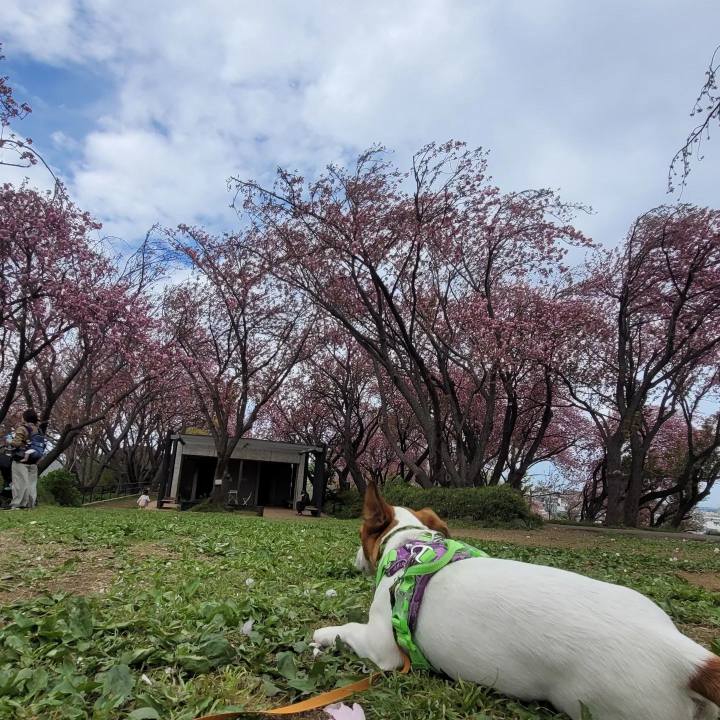 79ef1b45 390c 47aa 8308 2f0a6a044117 1680823533120