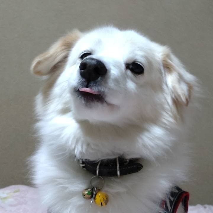 79ef54dd 771d 46b7 9d0e 4c16c814c523 1642365429957