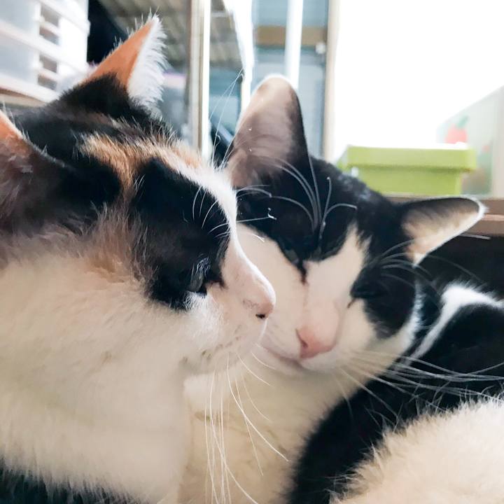 79efa80b 88e7 4c9b ac85 d5e9fedfc1b3 1521592208918