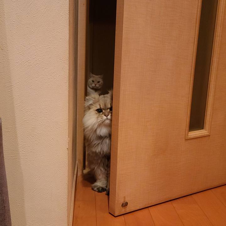 79efef08 fc4d 486b a68d cc50e73b9f5e 1610537517187