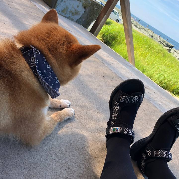 79f04135 db54 47b3 89e2 c7733acfabef 1535036077968