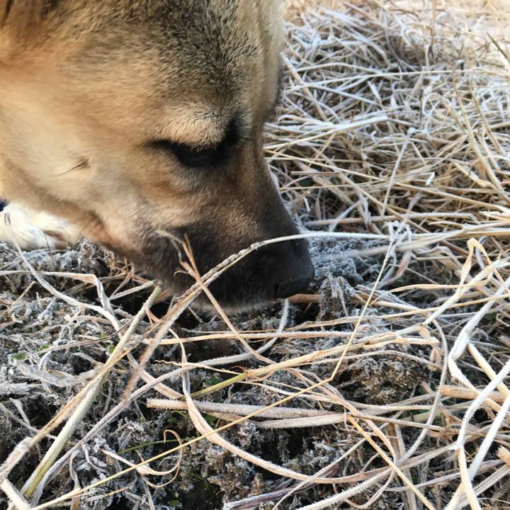 79f04336 9d5b 49d2 90cb 26e8a6e7ad1d 1513854196629