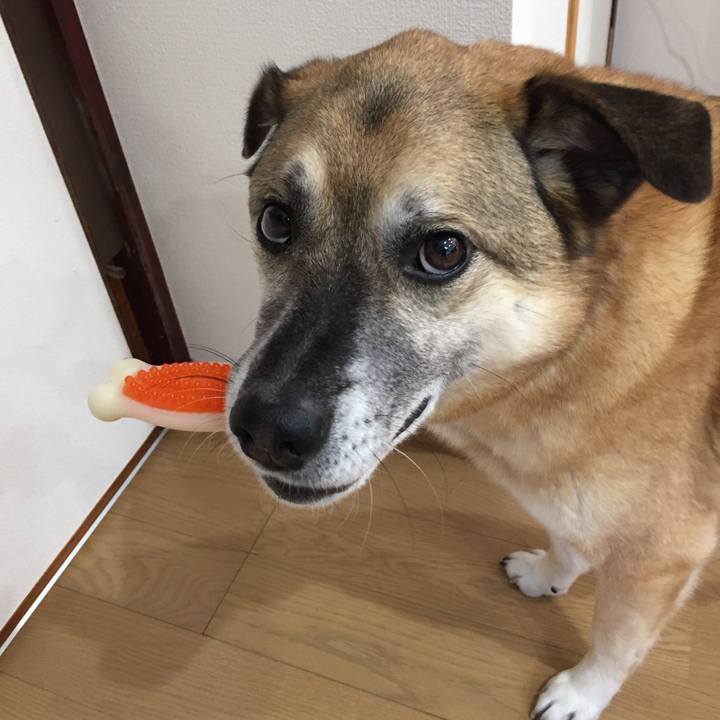 79f0483b 64d8 4a1d ac1d f8ef90dccf02 1519089708319