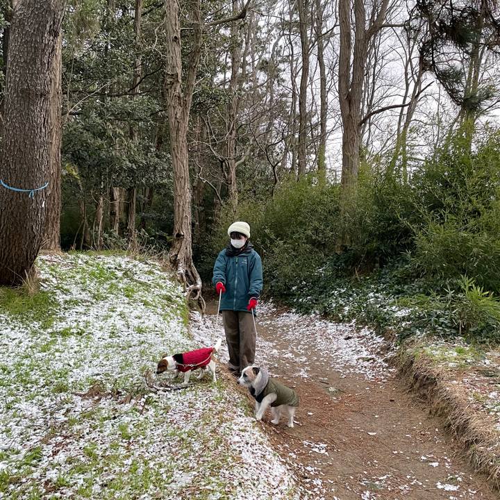 79f04b88 fb27 462d ac60 5a46f4ddd1f8 1643500498316