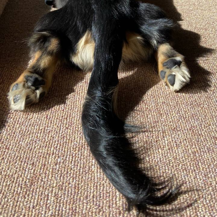 79f0675e e9c0 4b53 9502 aa3f9c828d52 1674690567149