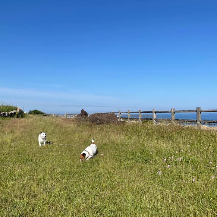 79f0bafb f6c5 445e be8f 2a0a3f58dd0a 1749775662990