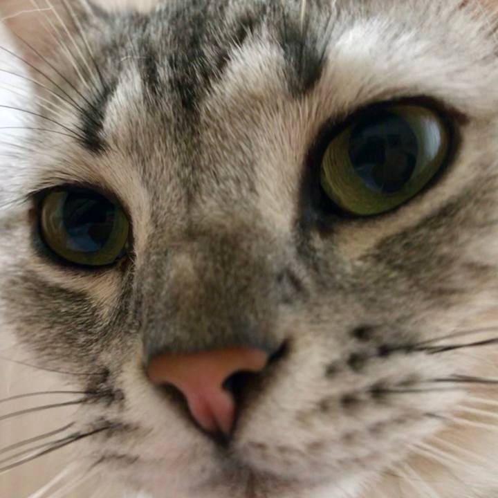 79f0c1bf bf5b 4abe 92c7 53901f9a1dc4 1530953369169