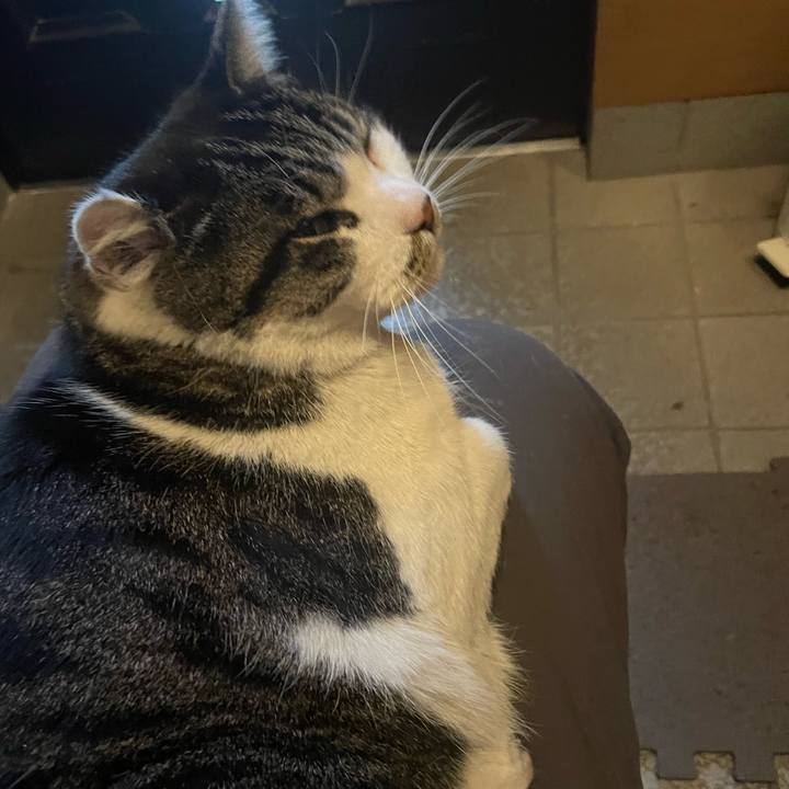 79f0ccd8 ff63 4886 884c 6366d76cf256 1675081733798