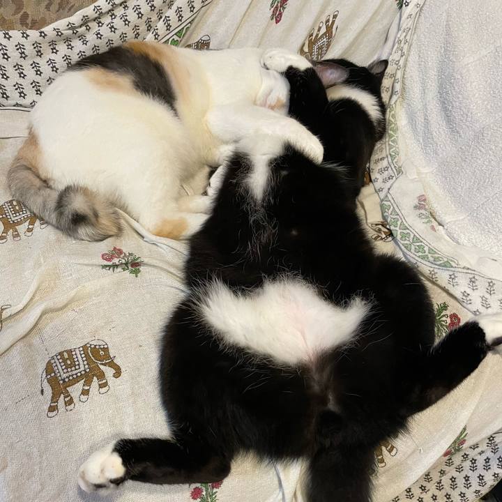 79f0d61a 0851 4e16 b75b 590489323dbc 1686521431698