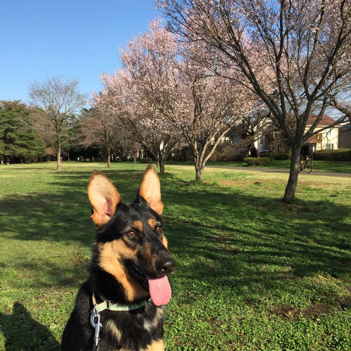 79f0d78c cfa2 422e 86a4 f279ce8c292a 1521722947273