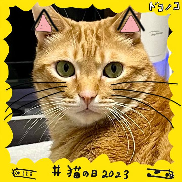 79f0d7aa 8452 4c03 9681 47dc208edf3b 1677015728986