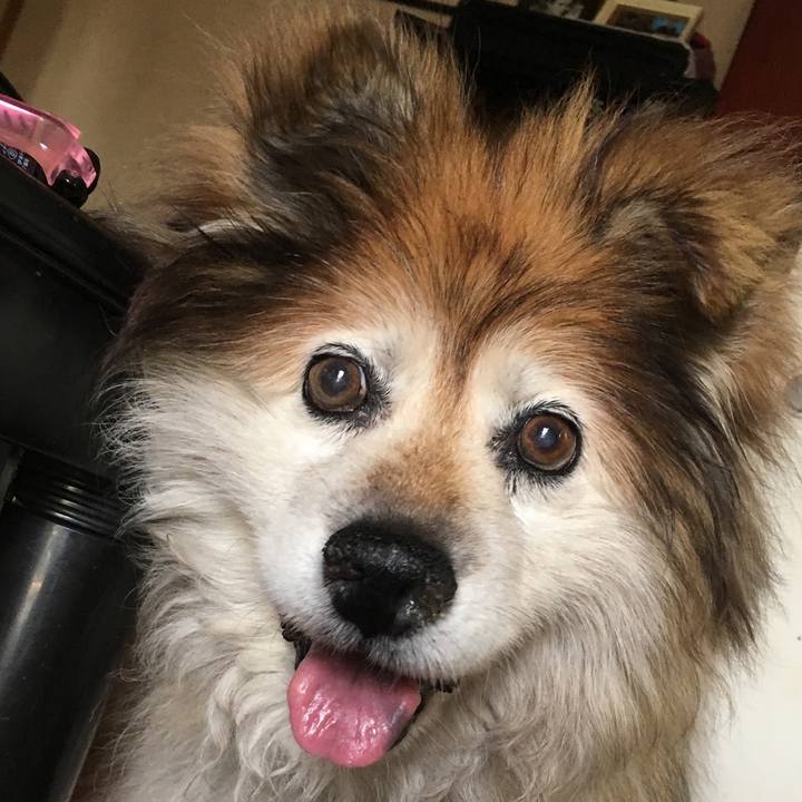 79f0ee3b 7ef2 4503 9356 fe75a4d1b86b 1571444763302