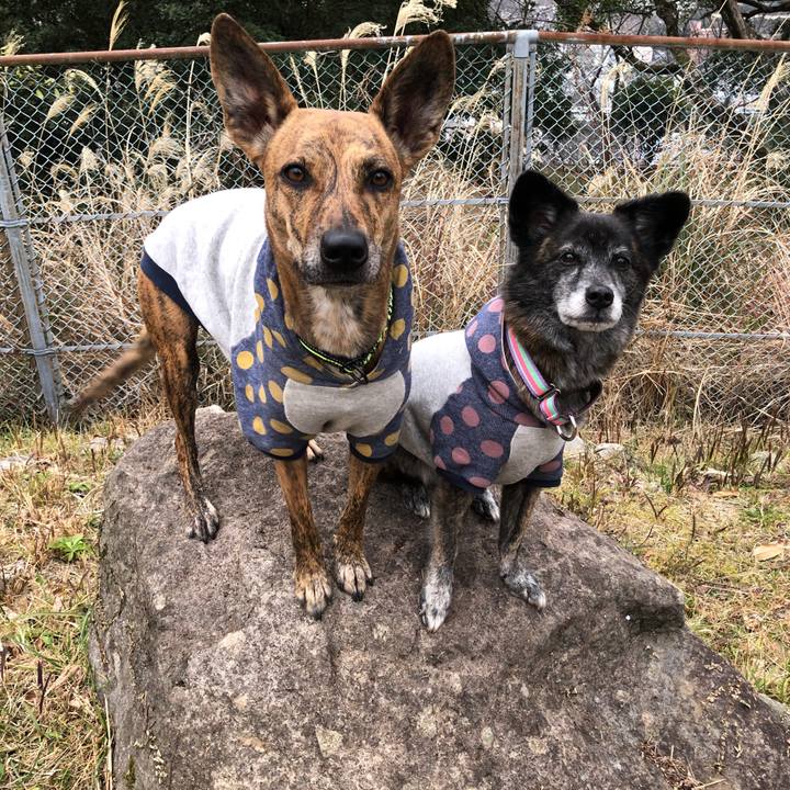 79f0ef7b 7973 4b05 80d4 494f83a52751 1644936668407