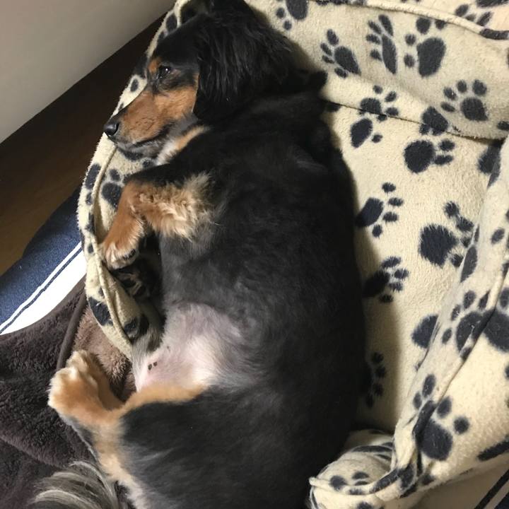 79f10c3c 7987 4dfa 95f6 f90fb86c5fb0 1526249314549