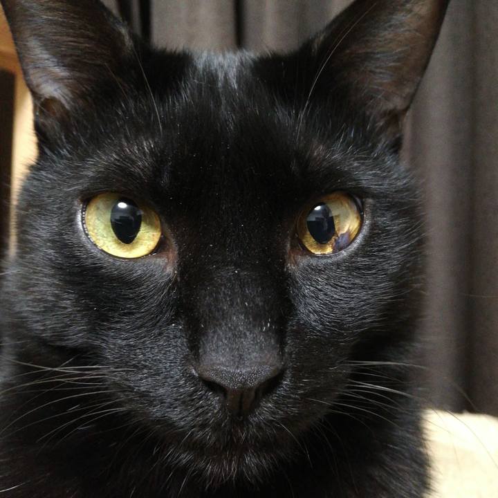 79f12ea7 443c 4d9a 9f57 14bc4e84bb92 1612303803607