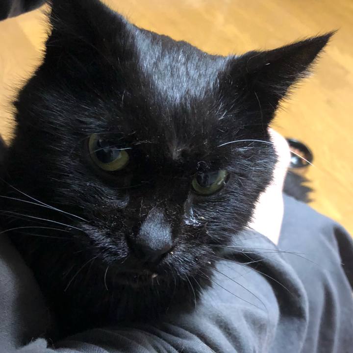 79f13098 11ae 4b62 9efa 8f0ace5f7605 1644662864345