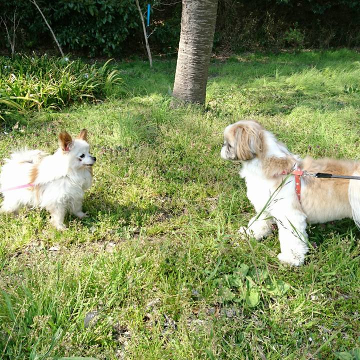 79f14928 3bf7 4630 890d 093d4904c360 1522511504784