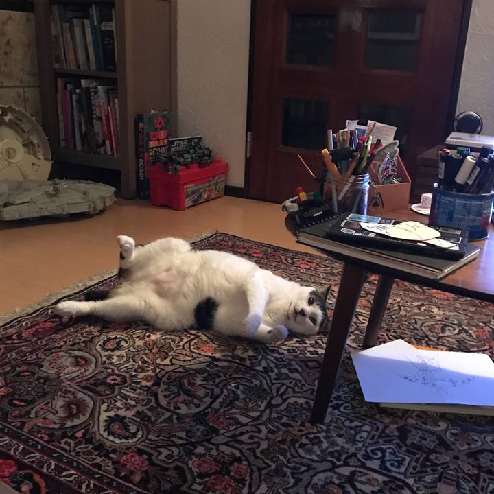 79f1af85 b297 48c3 bced 1dd9d869803e 1528762439068