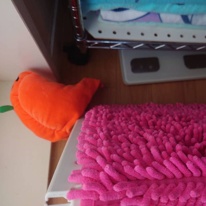 79f1ceca e820 4dbe b64c 92bf1a4b3e29 1604201891382