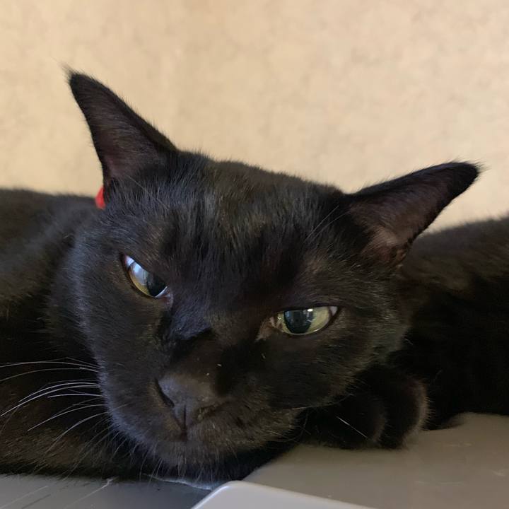 79f1e465 51d4 4e25 a5cb a51064b89805 1566634185363