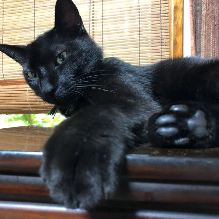 79f2114e 7f23 4439 82c3 5a2499fea67a 1528384359466