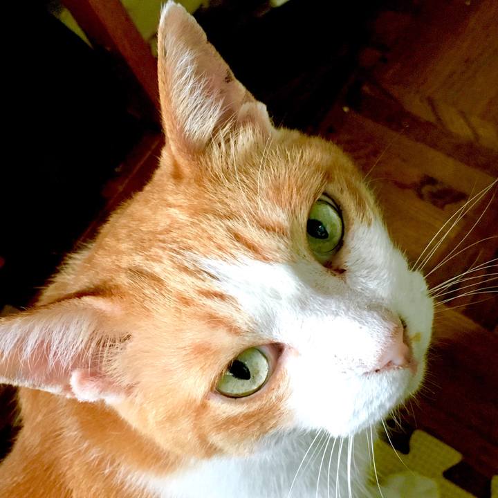 79f22188 ec11 492b ae13 ed48559b1505 1565063337352