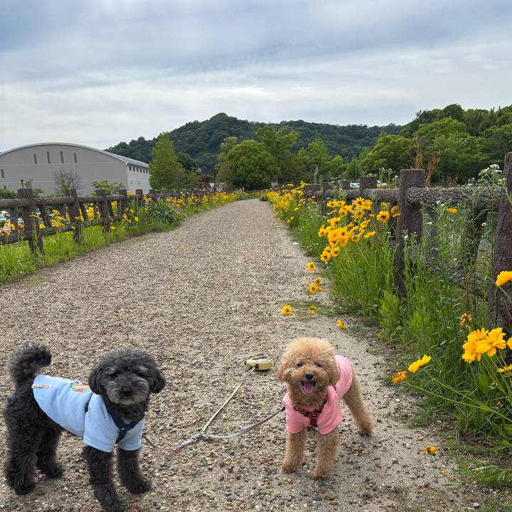 79f230c2 4097 48d8 8f08 69e6ab2a80b9 1748756832249