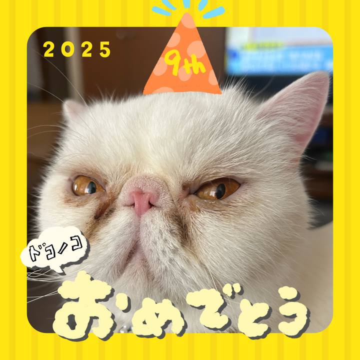 79f23dd3 b7ad 42d7 a60a abef53f241ac 1749273017990