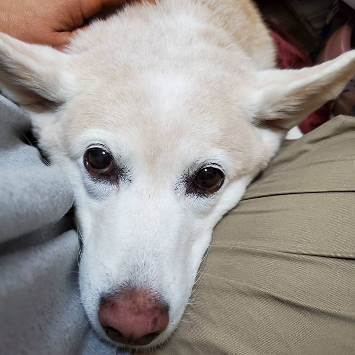 79f2716a 1422 4ec6 beac 04aaf24e32bf 1626745082061