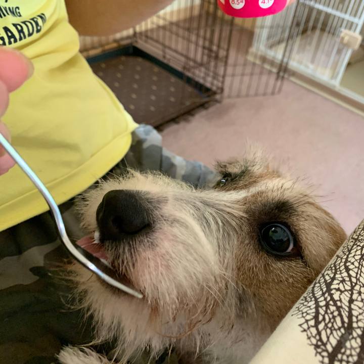 79f2ace6 9586 48ba 8ac0 ac1905094ab3 1595740532425