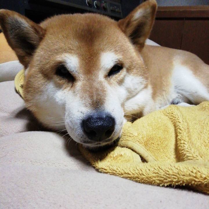 79f2c545 e1c6 4e9e ba5a 697e44670dcd 1617494274677