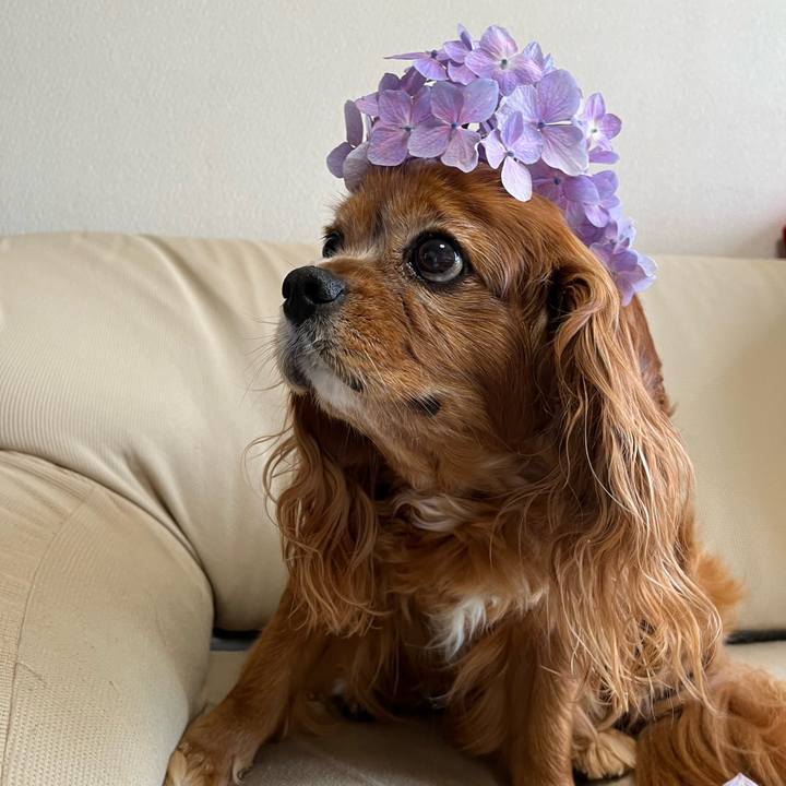 79f2e394 fa89 4625 884c be5be8efffad 1719014881393