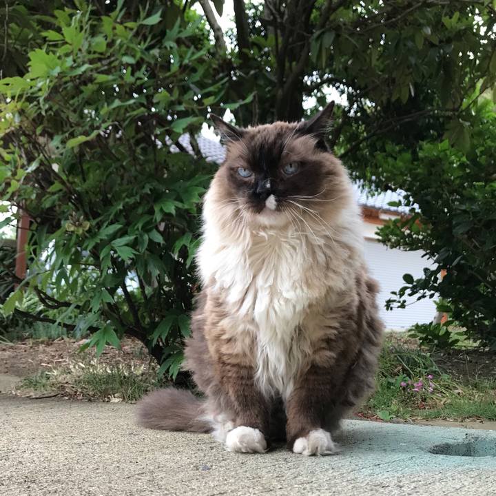 79f2e8c0 9c0d 42ae a9dd a93e28bedd42 1559379280883