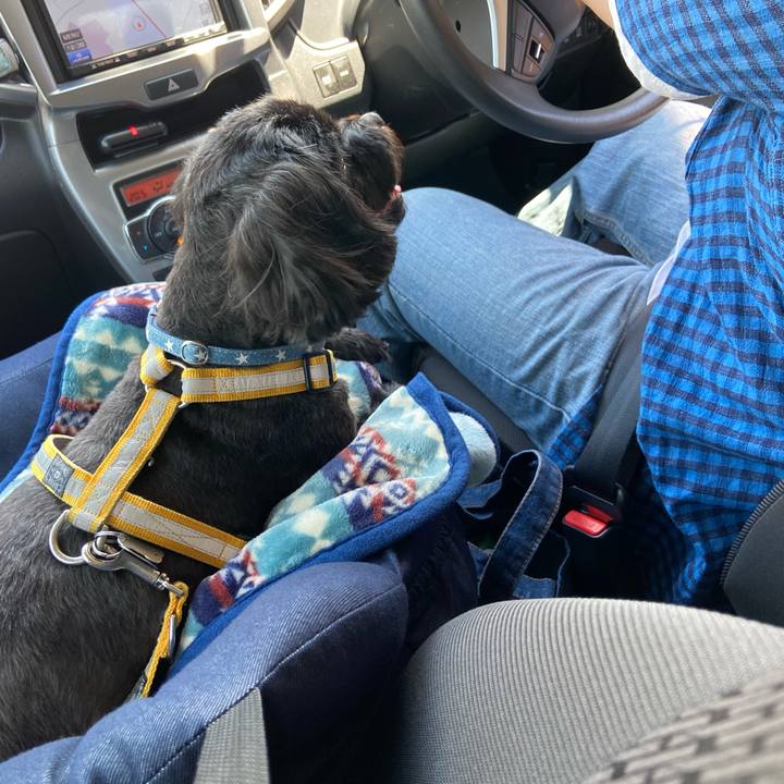 79f3024c aab0 4b6d b41e 410be11d3457 1590939874122