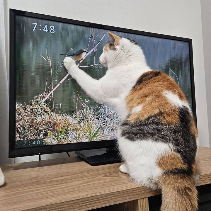 79f32b31 dbc8 4910 af85 e6fdca547f08 1775343063126