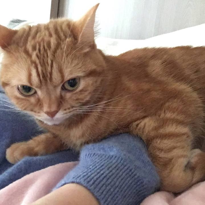 79f36156 918e 4f06 a789 33ece702fb80 1549087936736